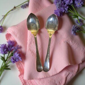 Pair of Vintage Silverplate Jam Spoons French Country Tea Table Flatware England